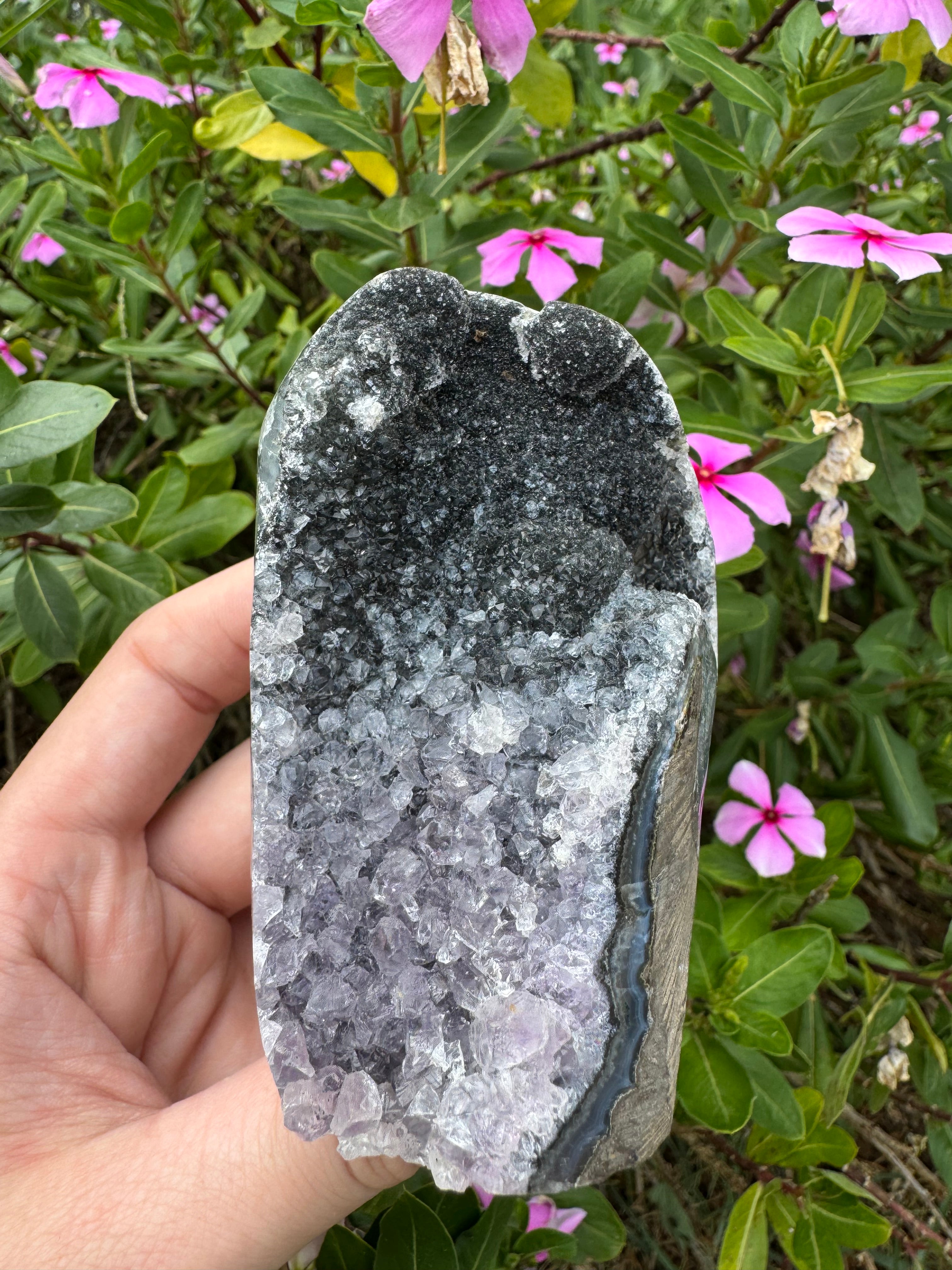 Purple/Black Amethyst Cutbase Cluster