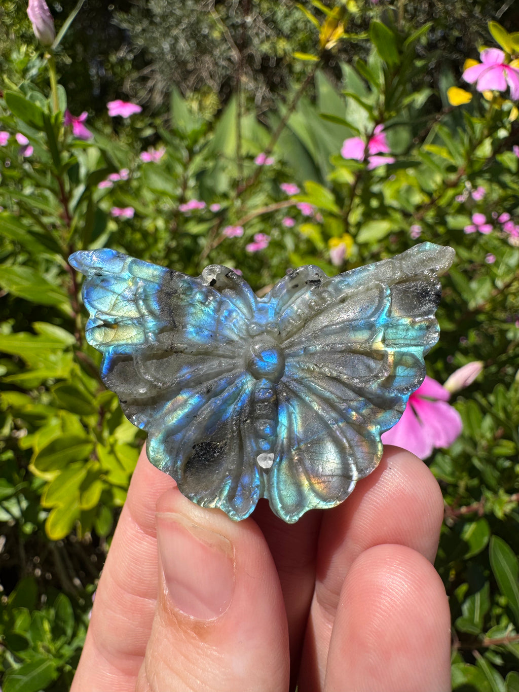 Labradorite Butterfly Carving