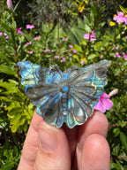Labradorite Butterfly Carving