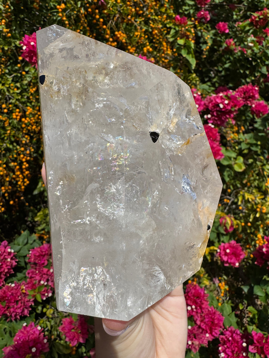 Inclusion Quartz Freeform - Black Tourmaline Rods
