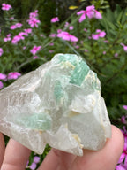 Green Tourmaline in Quartz Specimen