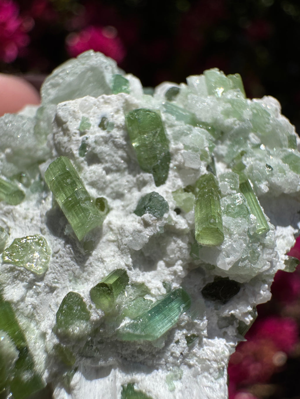 Spécimen de tourmaline verte avec kunzite sur matrice d'albite