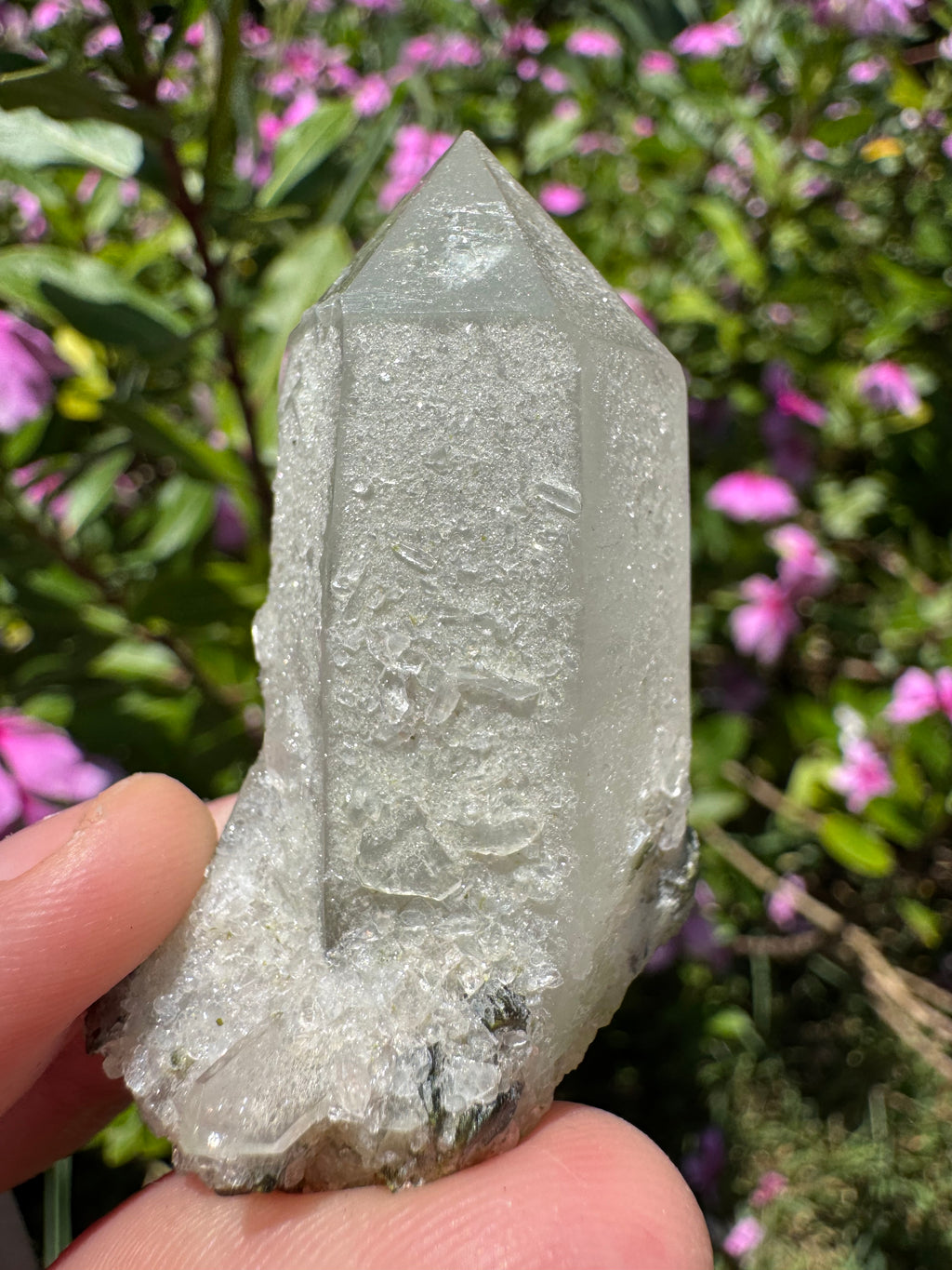 Sugar-Coated Epidote On Quartz Point