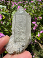 Sugar-Coated Epidote On Quartz Point