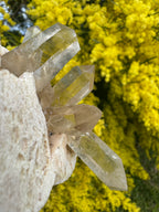 Himalayan Rutile-Included Citrine Quartz Cluster on Matrix