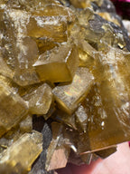 Golden Barite With Botryoidal Chocolate Calcite Specimen | 1.6kg