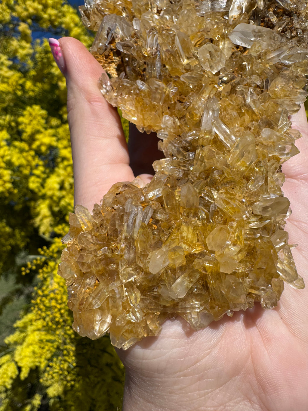 Golden Healer Quartz Floater Cluster with Multiple DT Crystals - High Quality