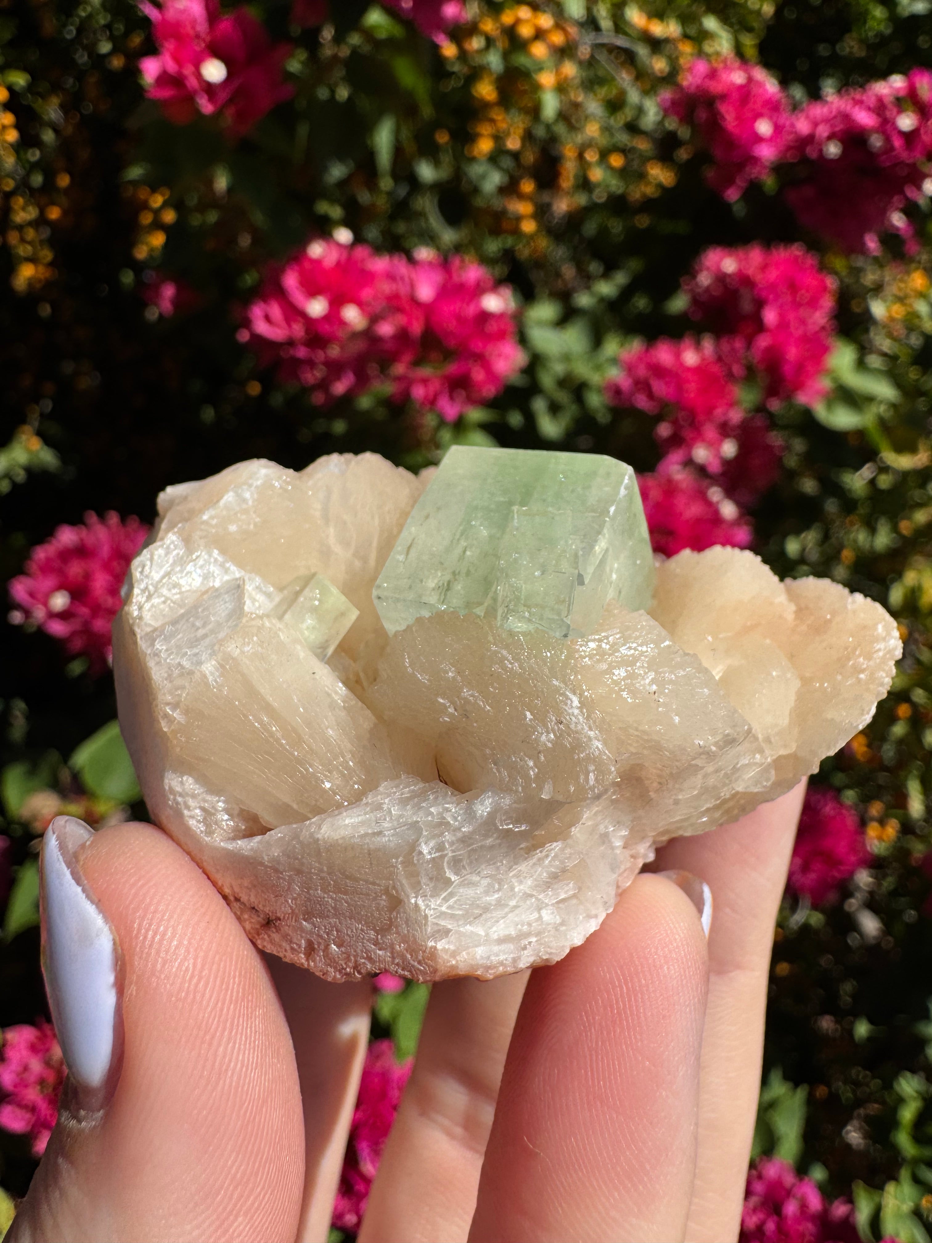 Green ‘Cube’ Apophyllite Specimen