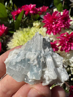 Cats Eye Aquamarine Specimen