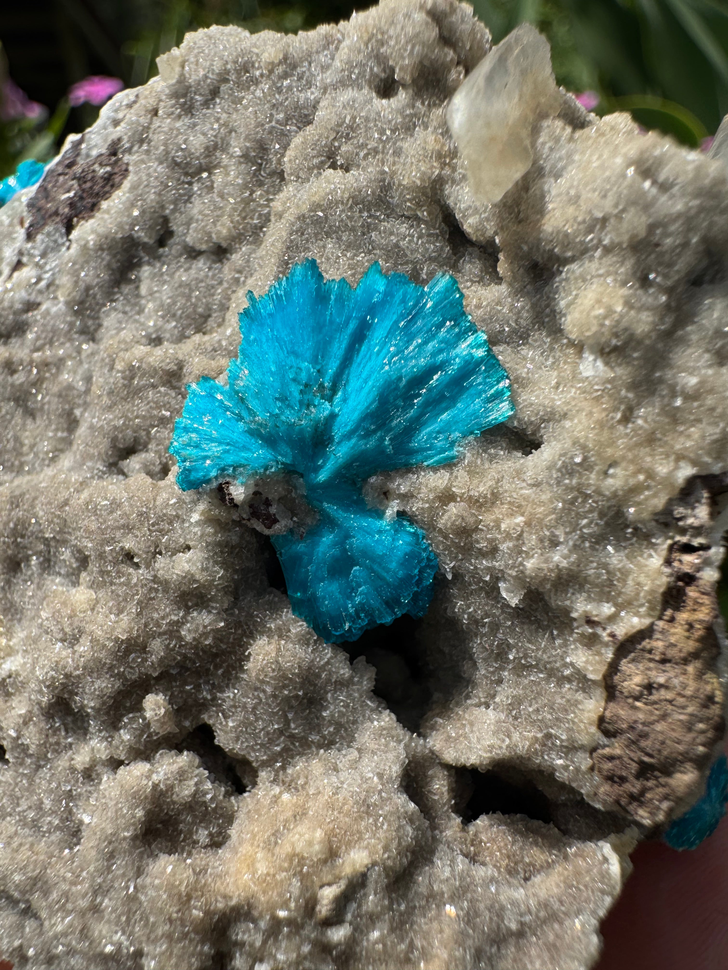 Cavansite On Zeolite Mineral Specimen