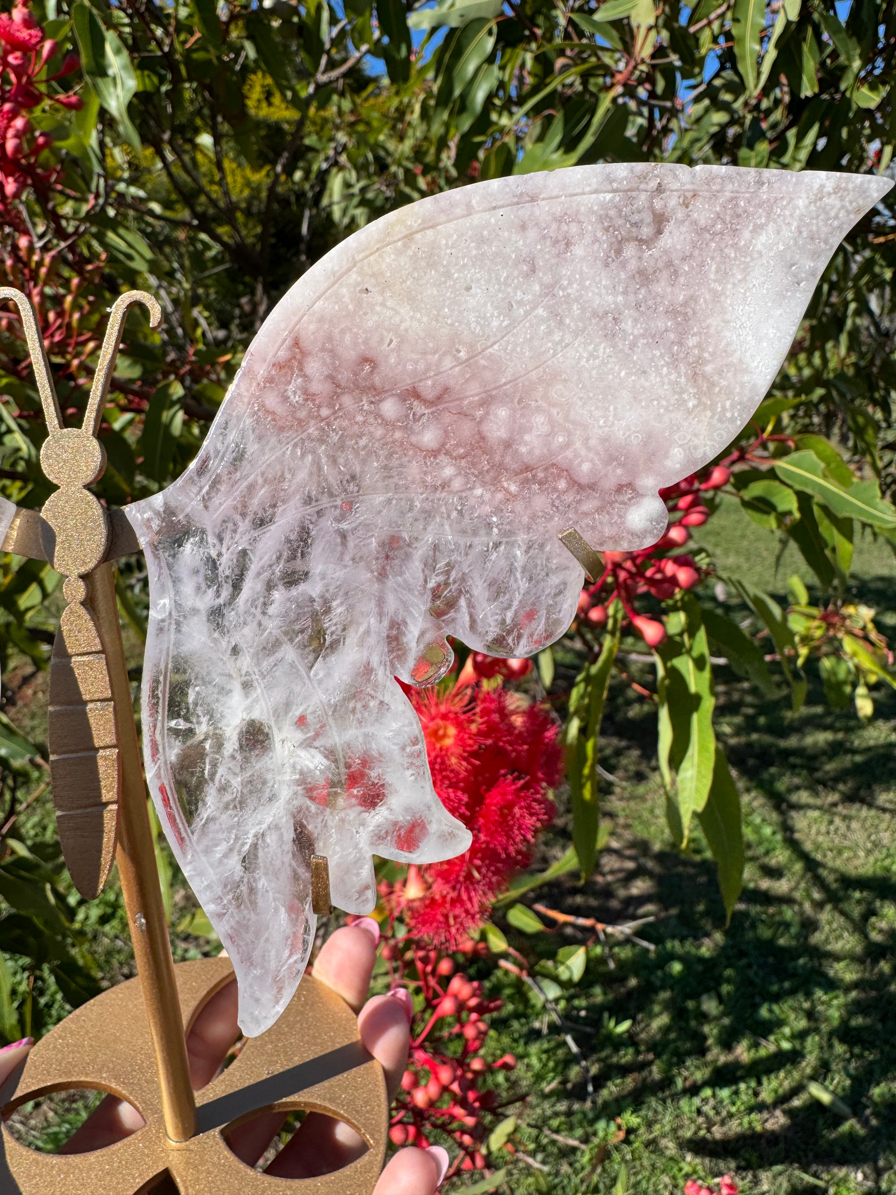 Premium Pink Sakura Flower Agate Butterfly Wing With Display Stand
