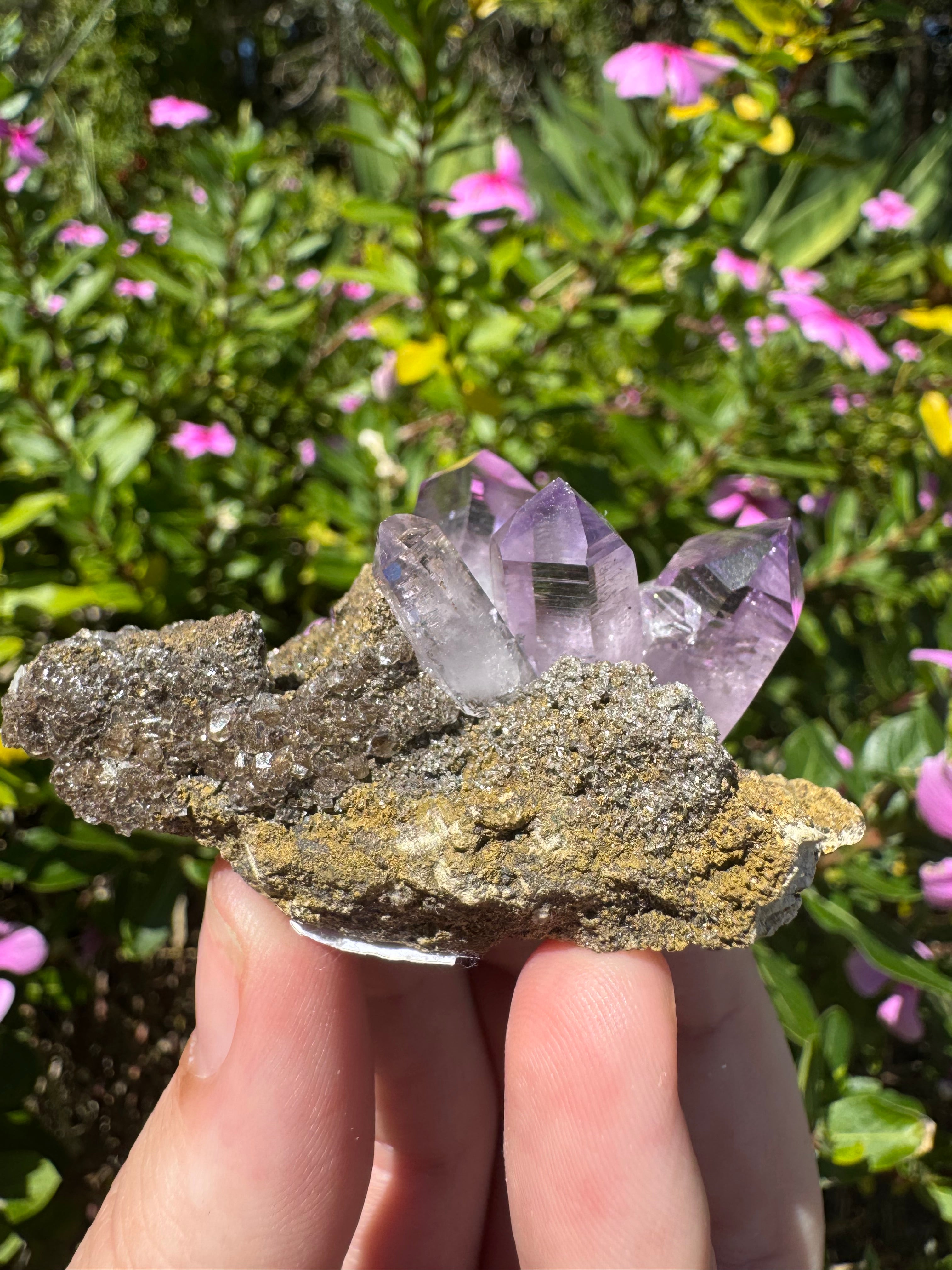 Vera Cruz Amethyst Specimen