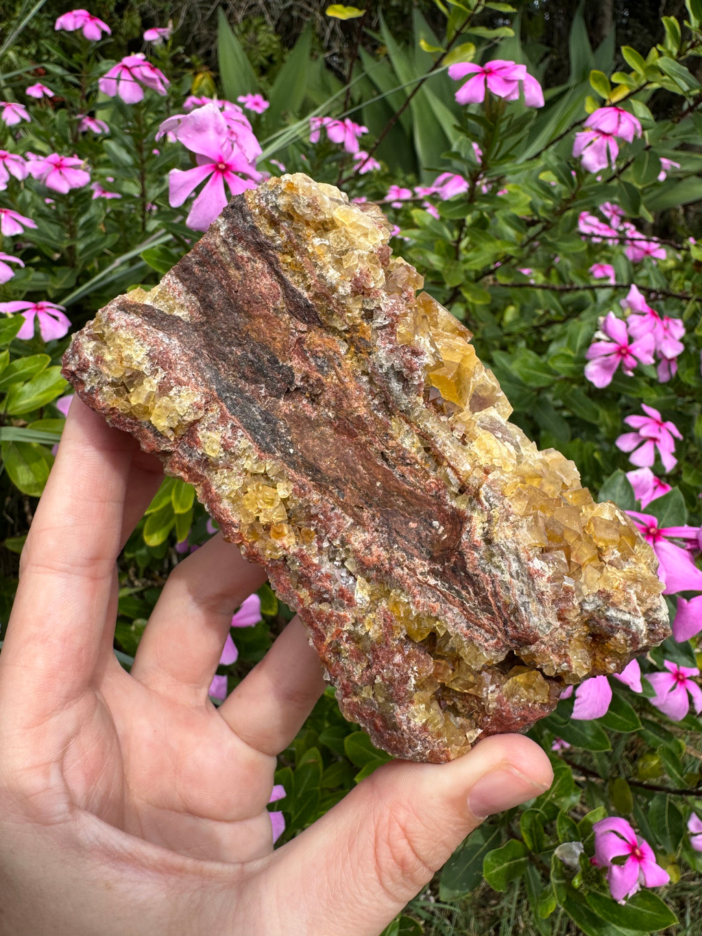 Yellow Cubic Fluorite on Iron-Stained Quartz Specimen