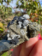 Pyrite And Galena On Quartz Specimen