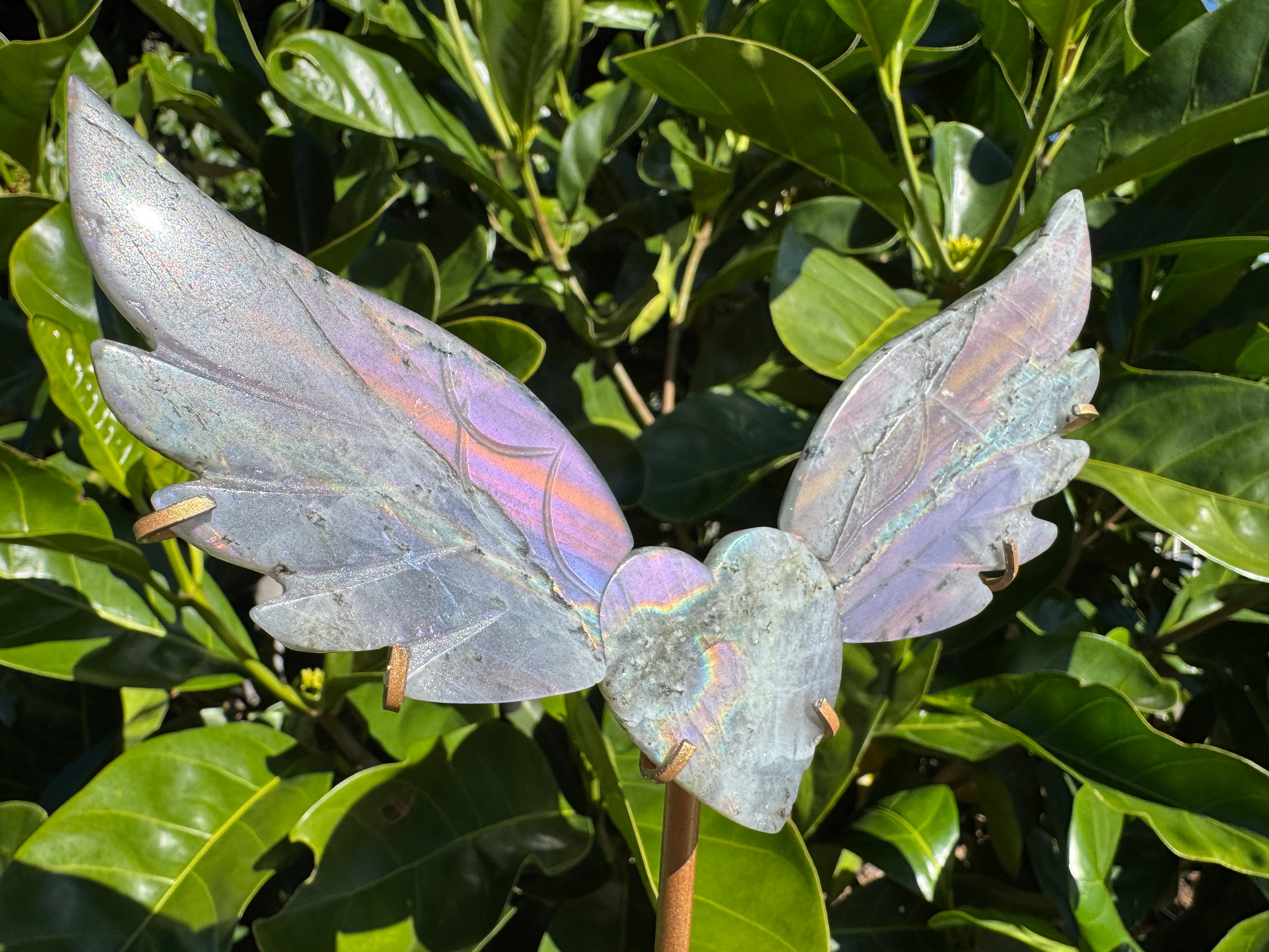 Labradorite Heart Wings