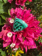 Malachite Pendant - Sterling Silver