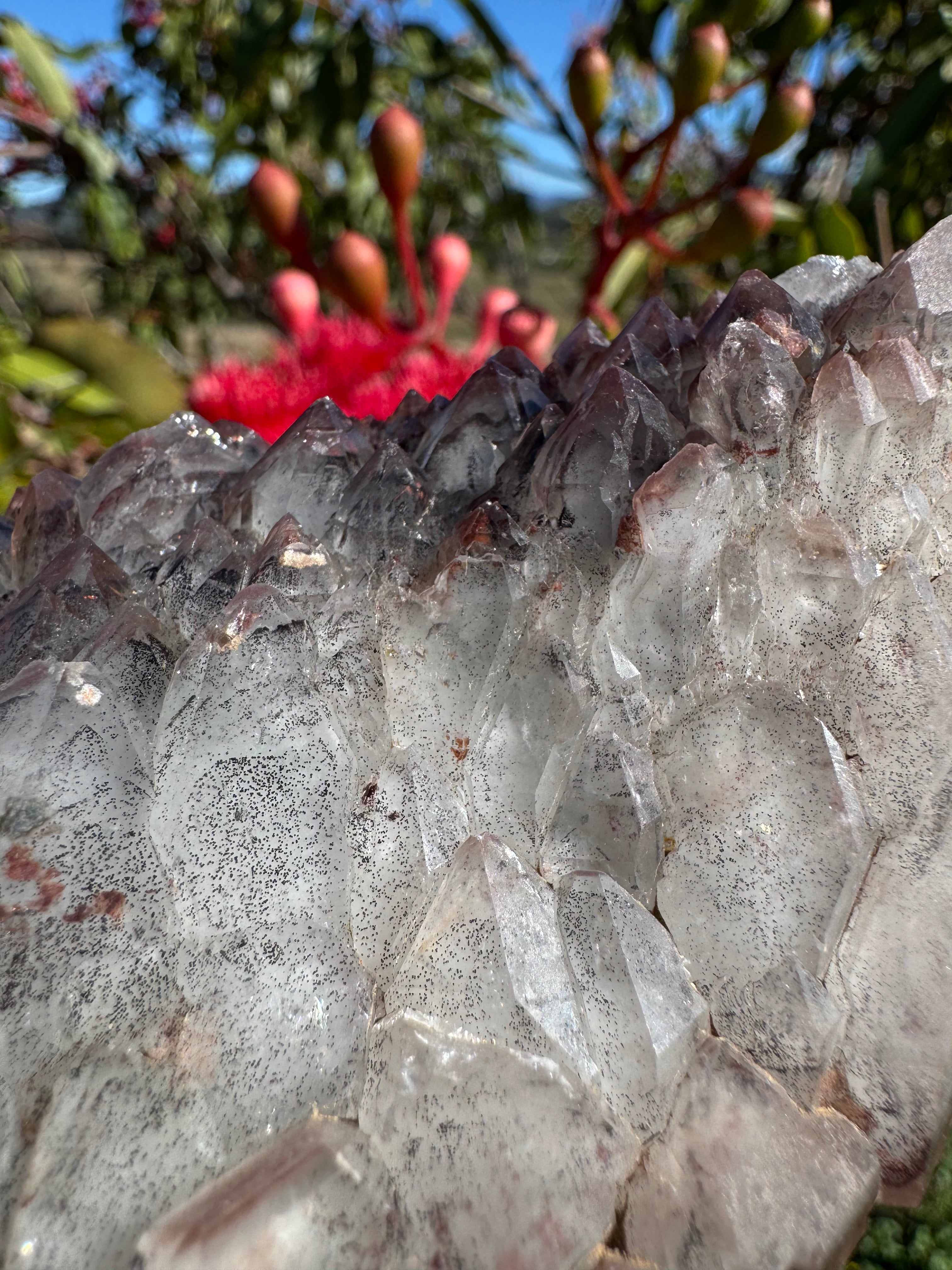 Hematite Coated Smoky Quartz Cluster - Mt Isa