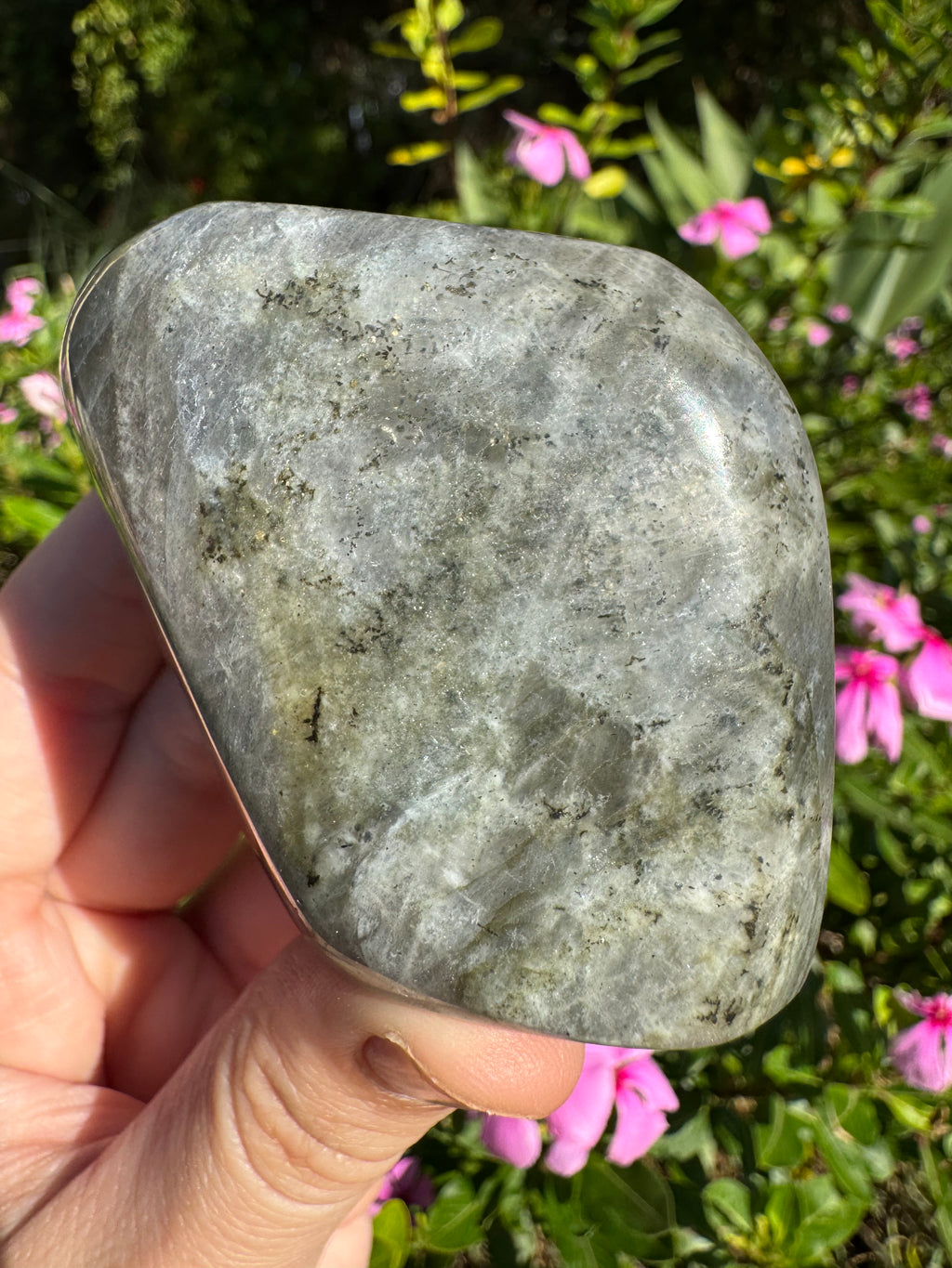 Labradorite Standing Freeform