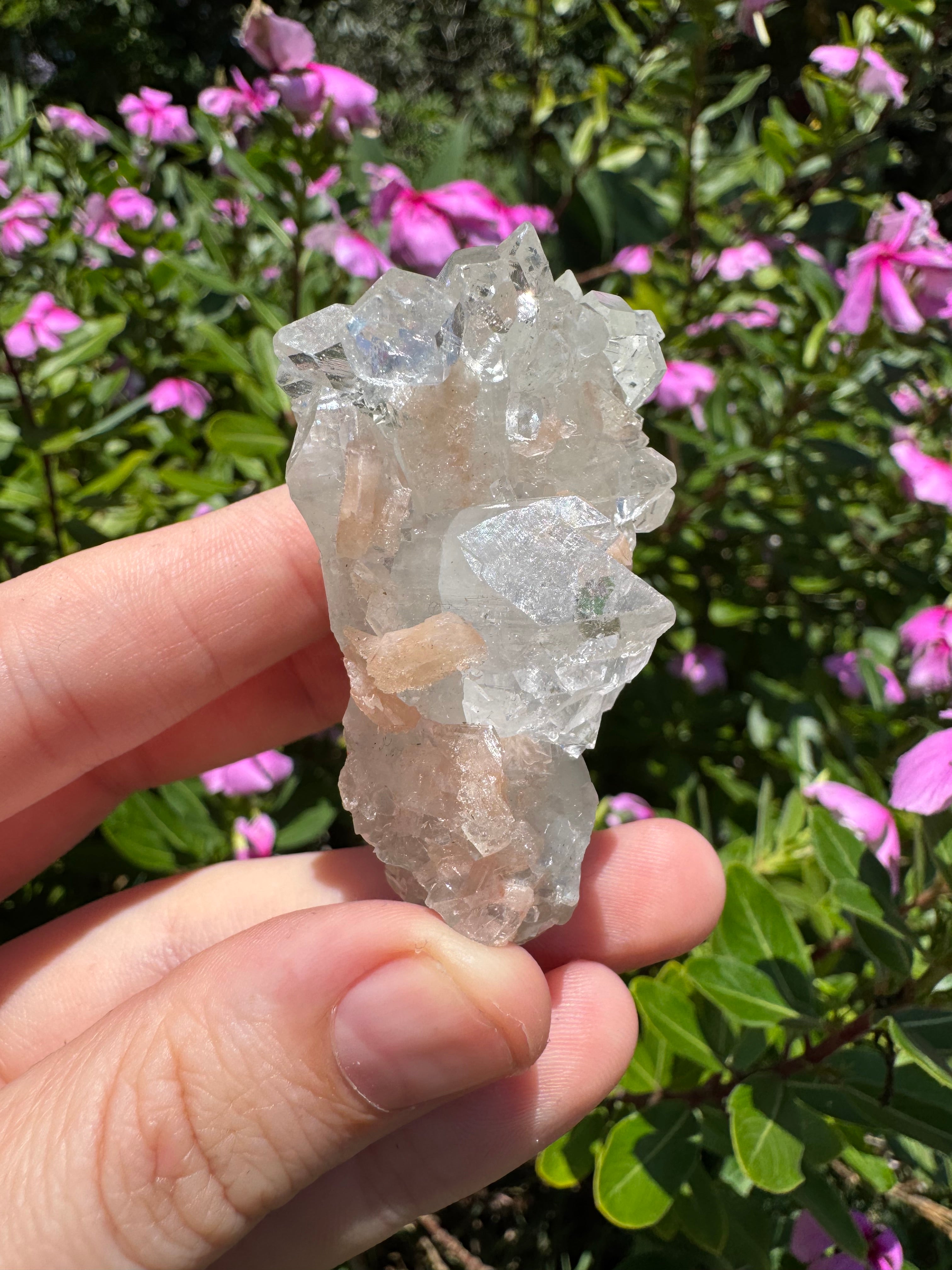 Glass Apophyllite With Stilbite Cluster - High Quality