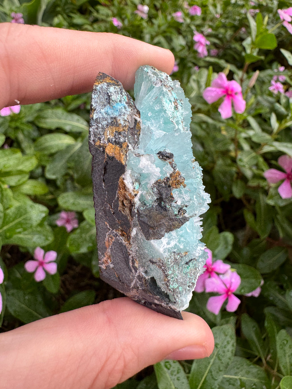 Hemimorphite Needle Formation On Matrix Specimen