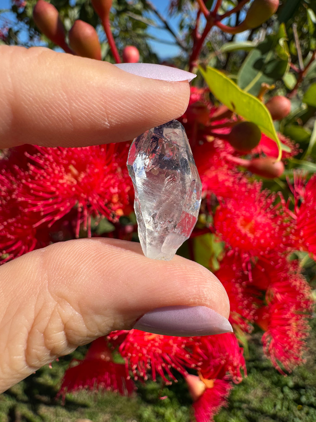 Herkimer Diamond Natural Specimen - Enhydro Moving