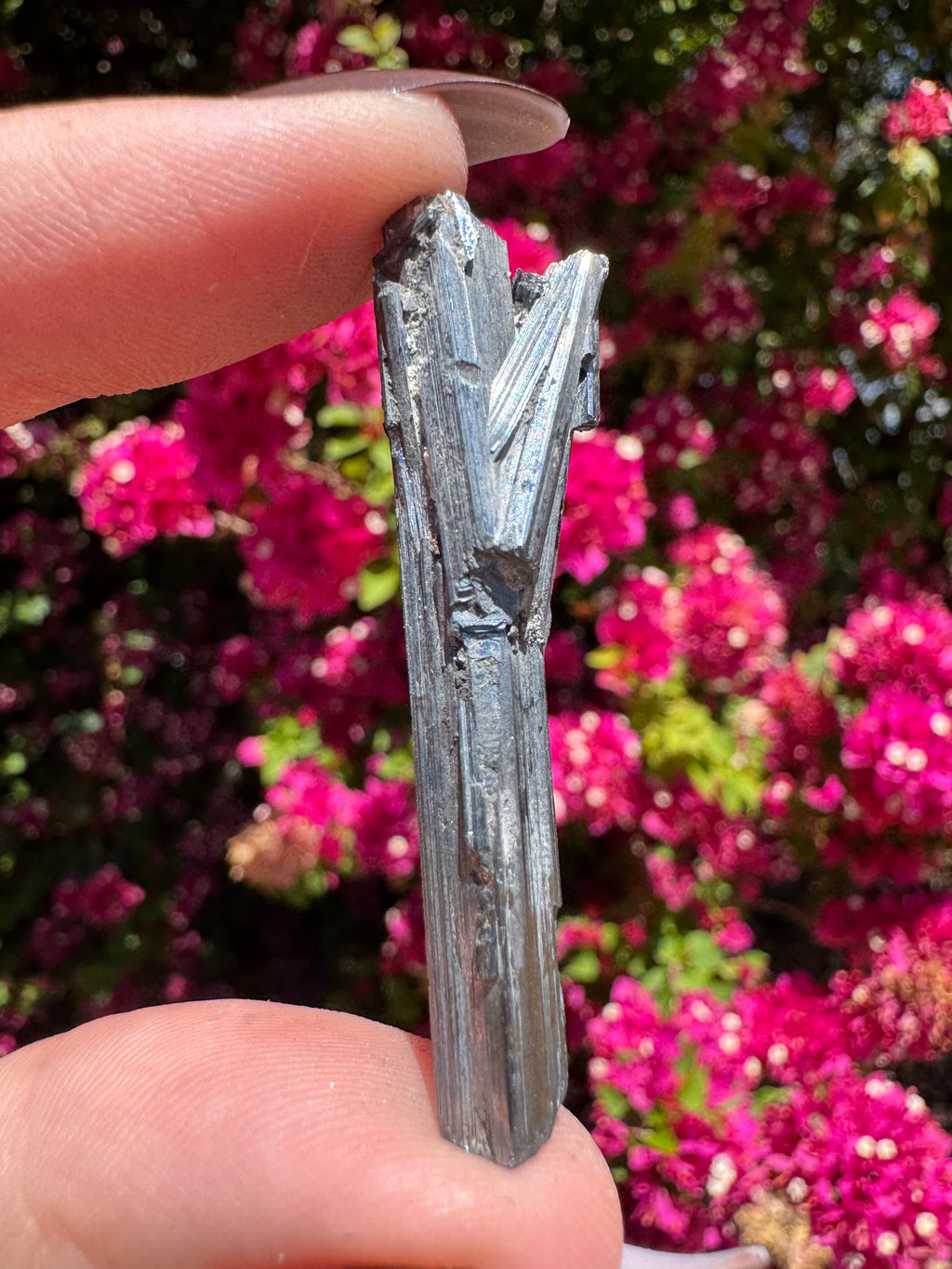 Stibnite Specimen