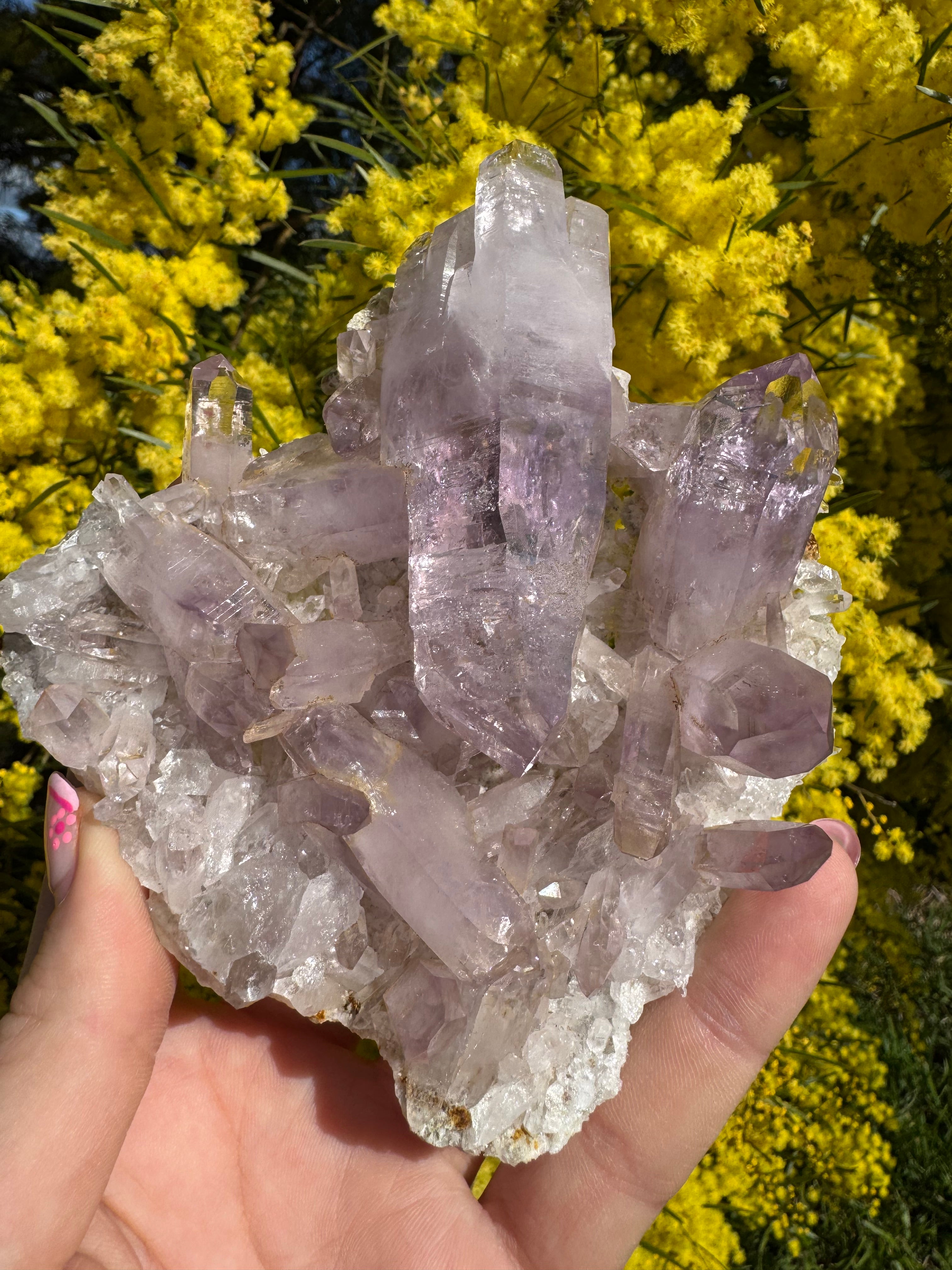 Vera Cruz Amethyst Specimen