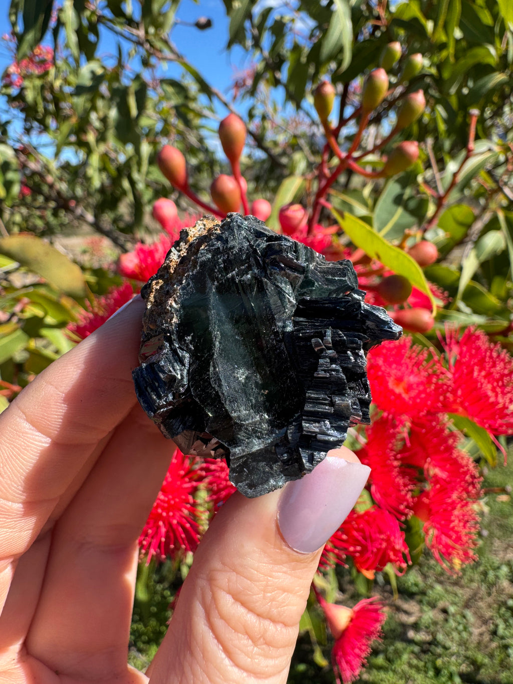 Vivianite on Matrix Specimen