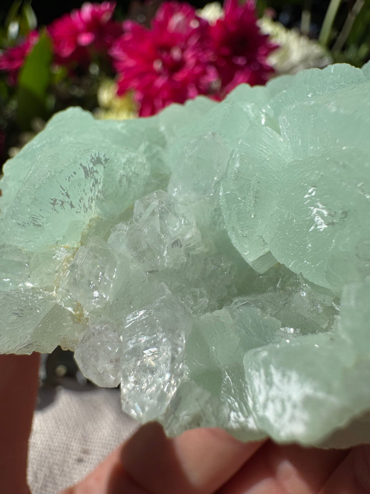 Quartz On Botryoidal Prehnite with Black Tourmaline Specimen