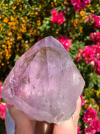 Collector’s Nigerian Phantom Amethyst with Record Keepers