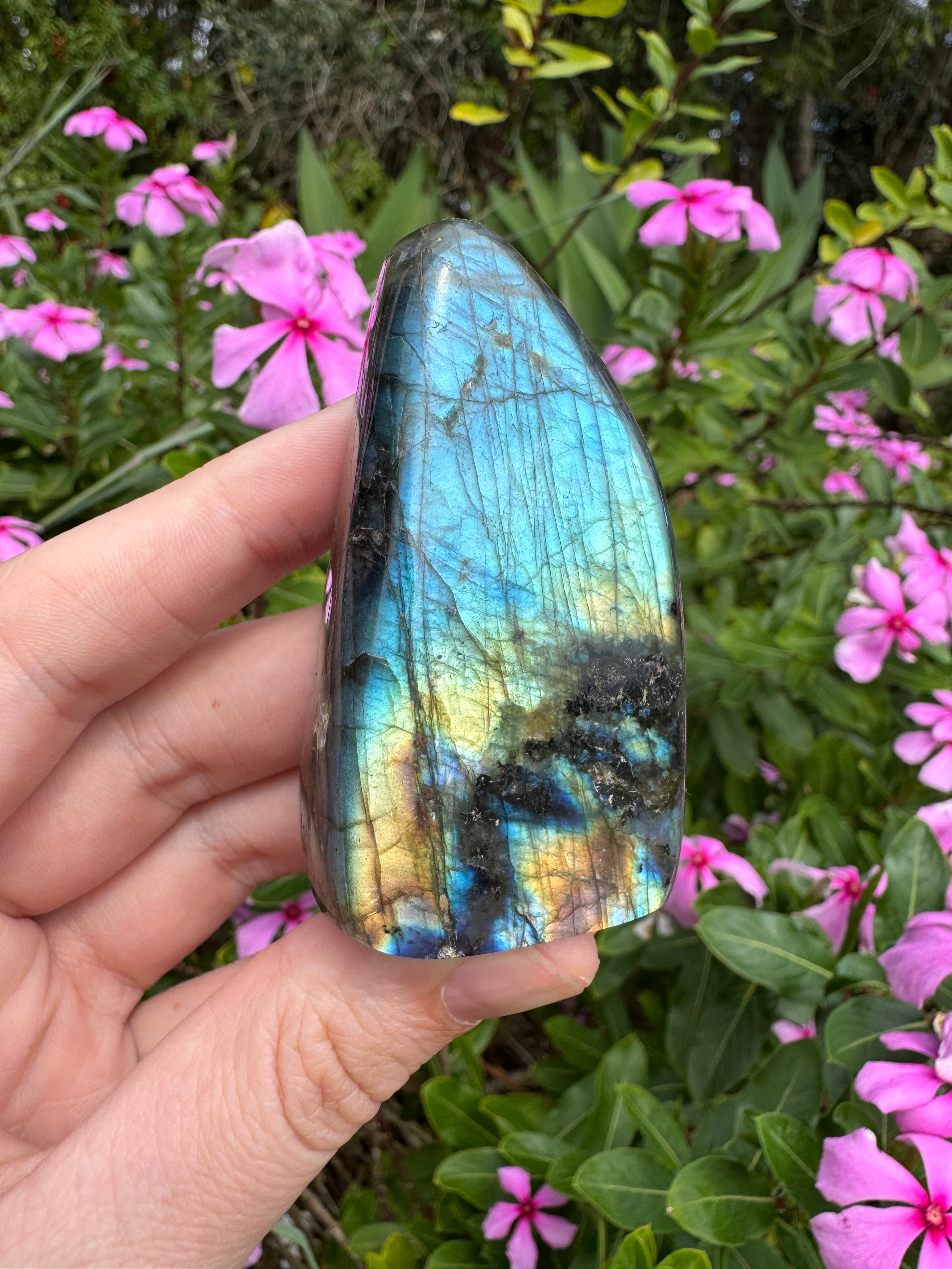 Labradorite Standing Freeform