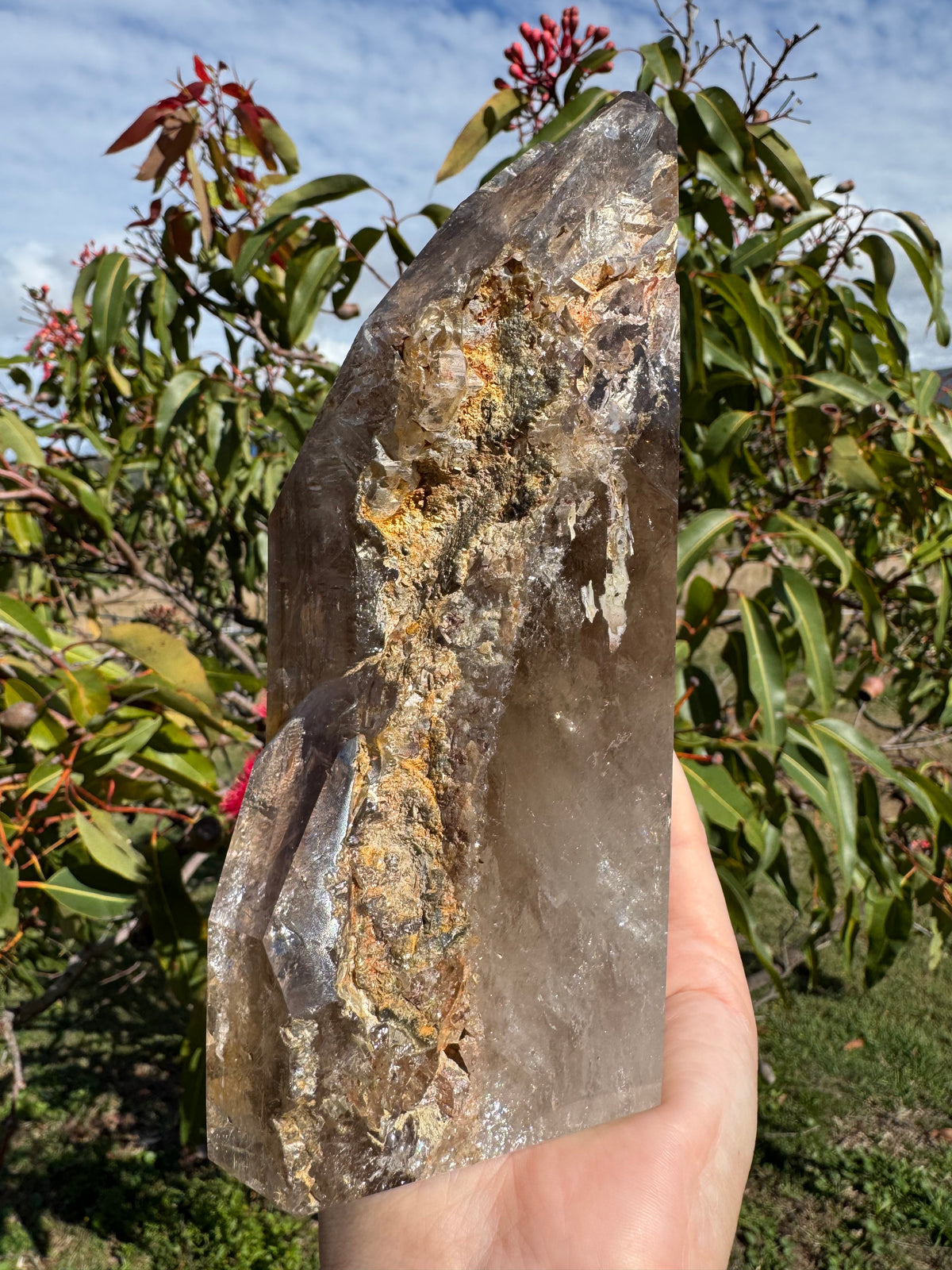 Rare Windowed Included Smoky Quartz Freeform - Triple Enhydro