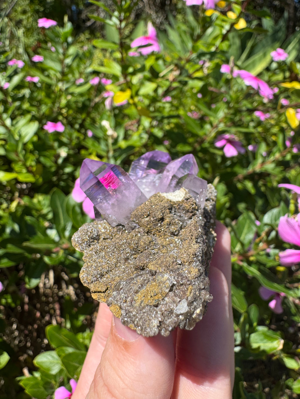 Vera Cruz Amethyst Specimen