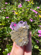 Vera Cruz Amethyst Specimen