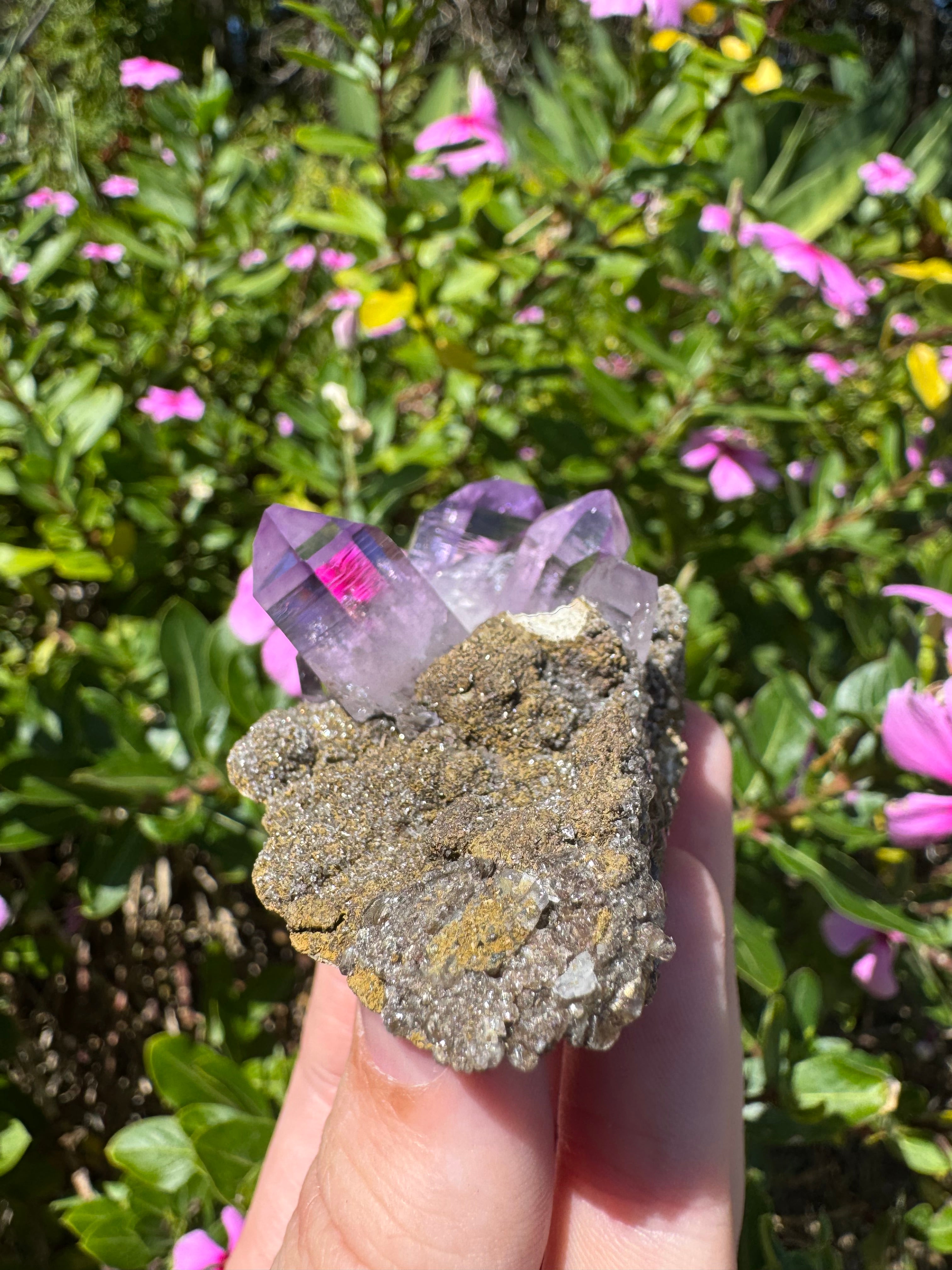 Vera Cruz Amethyst Specimen