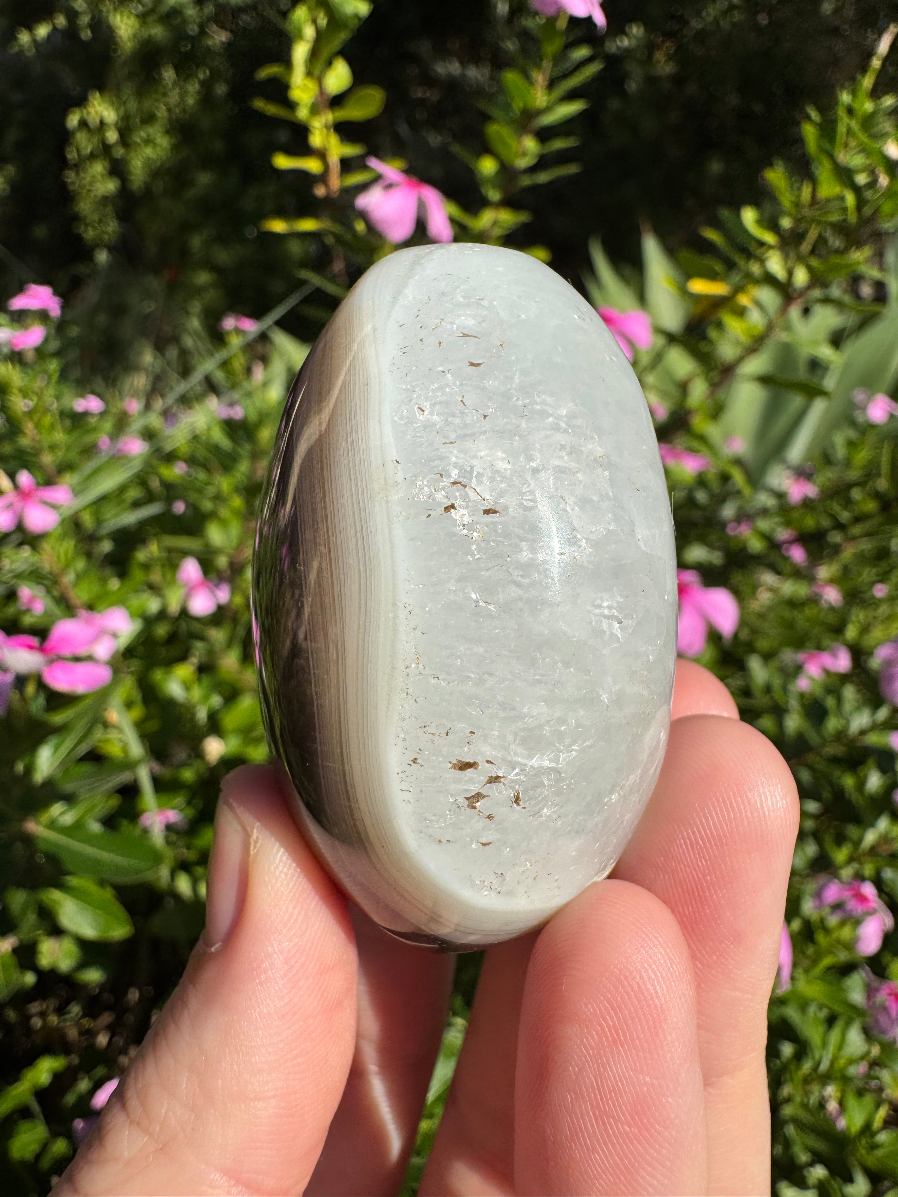 Orca Agate Palm Stone