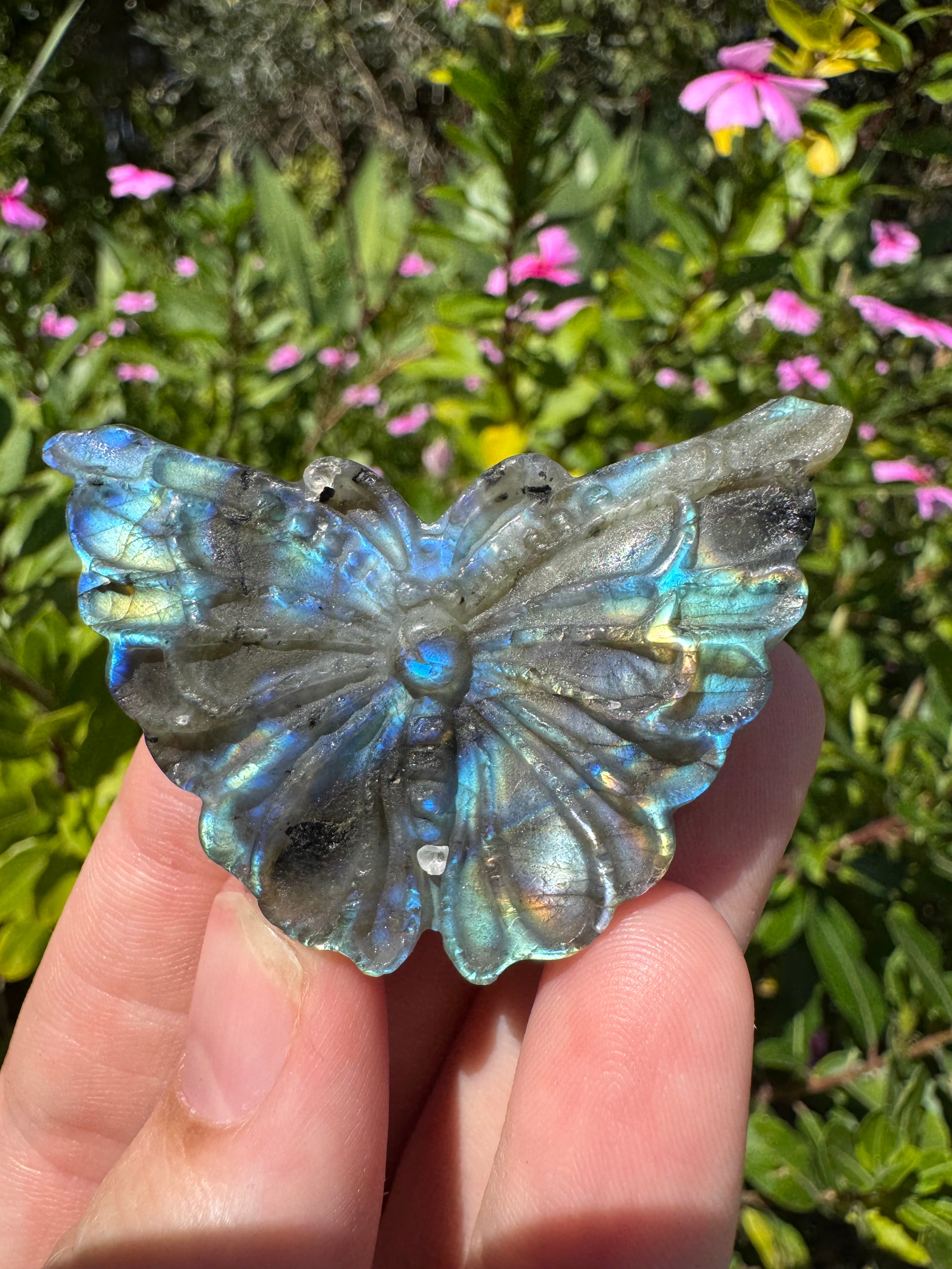 Labradorite Butterfly Carving