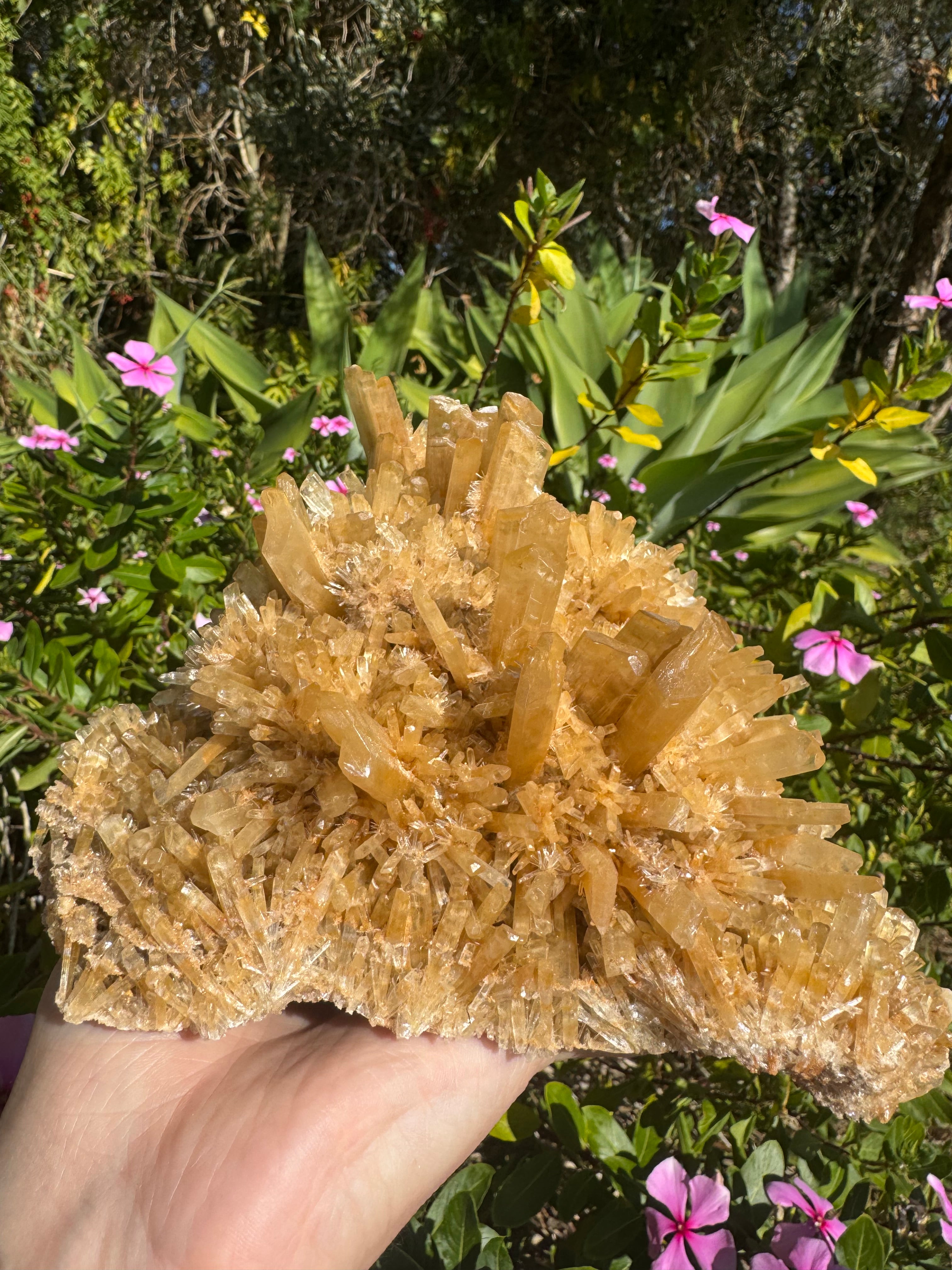 Selenite ‘Gypsum’ Natural Specimen