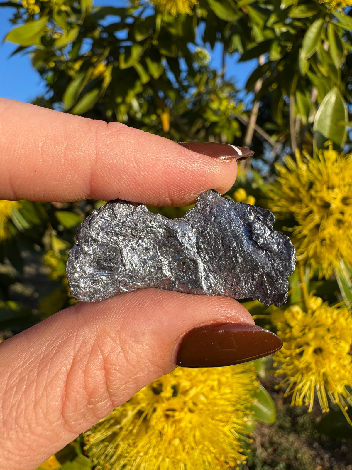 Molybdenite Specimen | Kingsgate