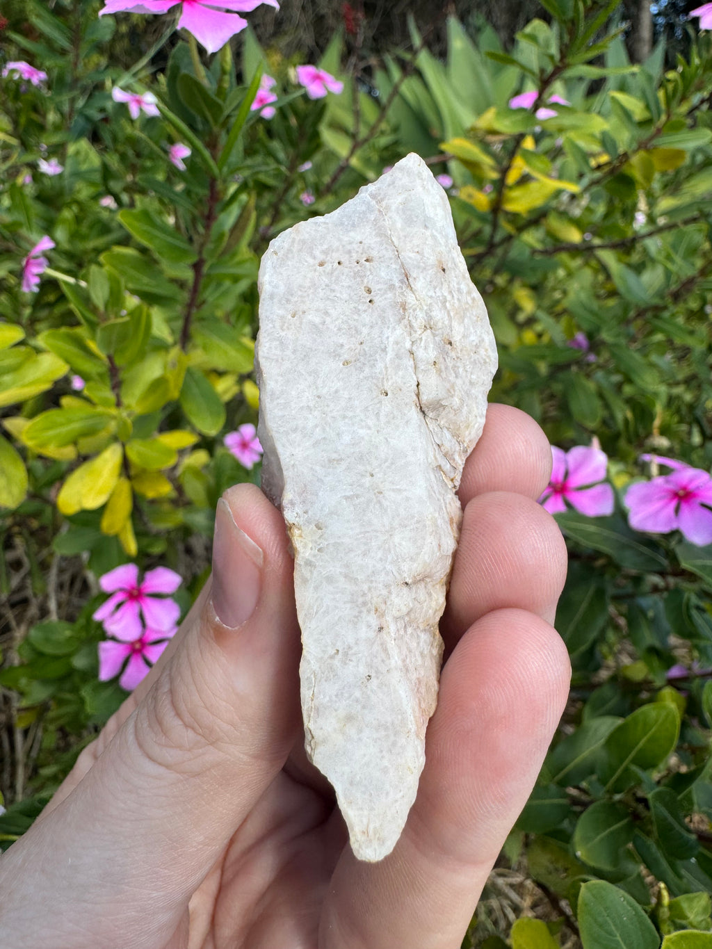 Hematite Quartz Specimen - Mt Isa