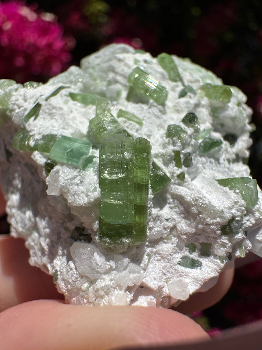 Spécimen de tourmaline verte avec kunzite sur matrice d'albite