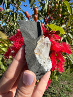 Amethyst Point in Basalt Matrix - Brandberg