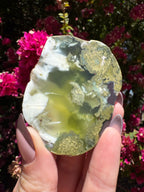 Polished Prehnite Slice | Wave Hill