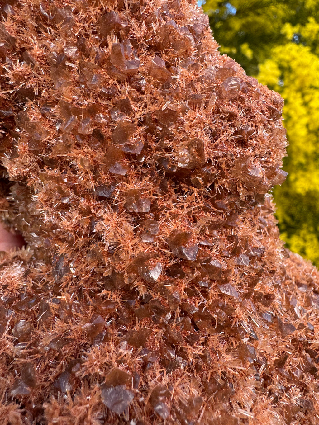 Red Selenite ‘Gypsum’ Specimen - Port Hedland