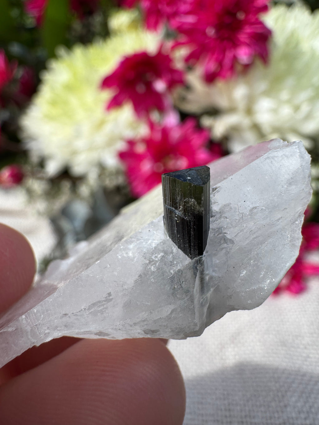 Green Capped Tourmaline in Quartz Specimen