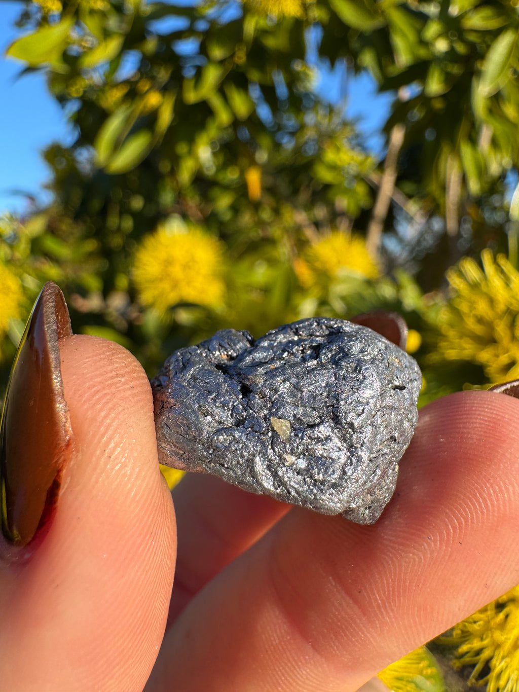 Molybdenite Specimen | Kingsgate