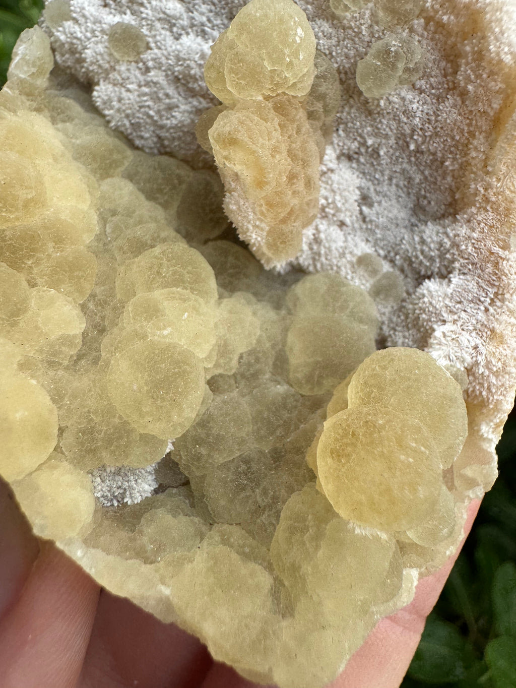 Yellow Fluorite Botryoidal Specimen