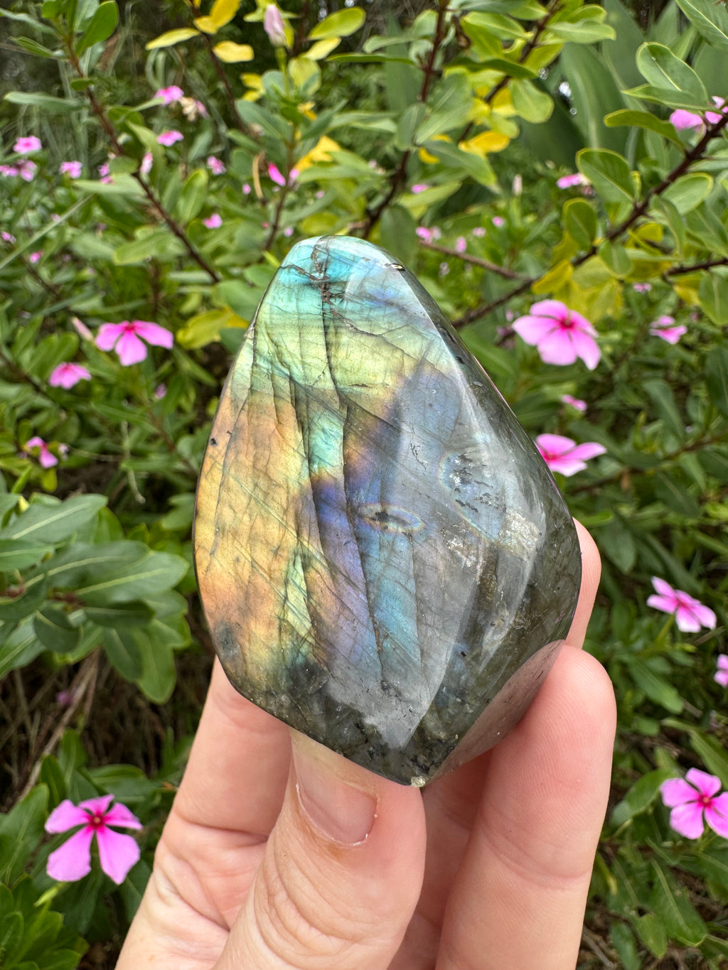 Labradorite Standing Freeform