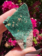 Atacamite Specimen | South Australia