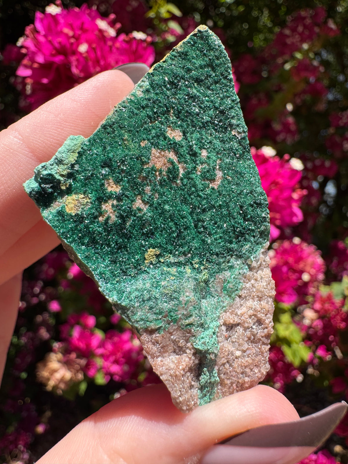 Atacamite Specimen | South Australia